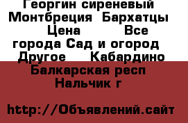 Георгин сиреневый. Монтбреция. Бархатцы.  › Цена ­ 100 - Все города Сад и огород » Другое   . Кабардино-Балкарская респ.,Нальчик г.